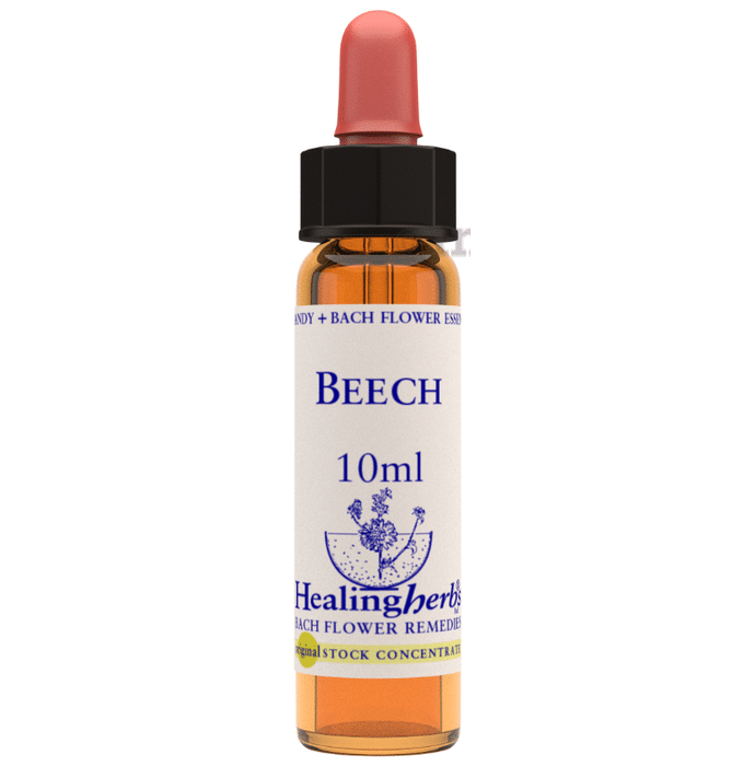 Healing Herbs Bach Flower Beech