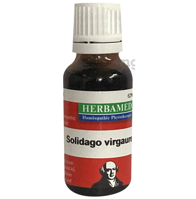 Herbamed Solidago Virgaurea Mother Tincture Q