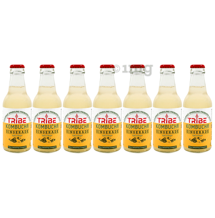 Tribe Kombucha Combo Pack of Naturally Sparkling Probiotic Drink (210 ml Each) Gingerade Ginger & Lemon