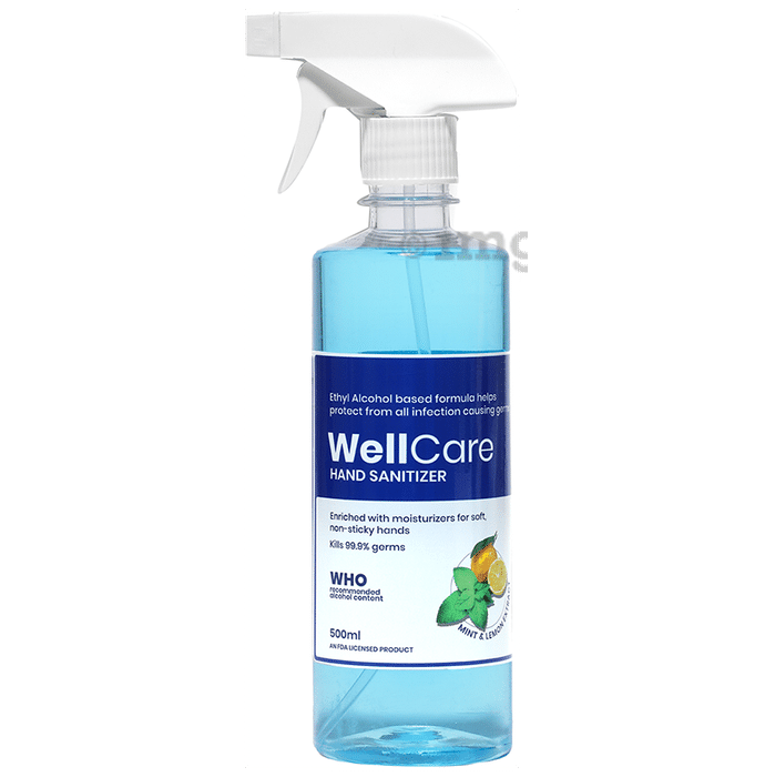 WellCare Hand Sanitizer Spray Mint & Lemon Extract