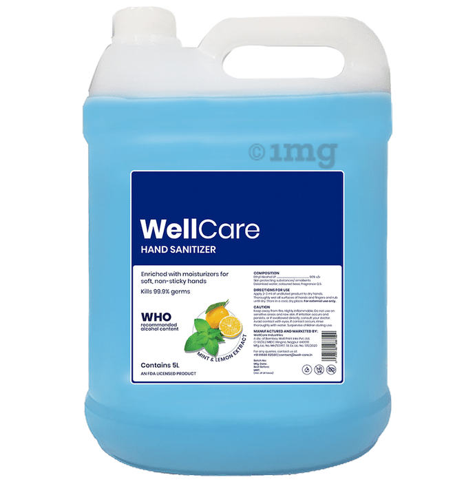 WellCare Hand Sanitizer Mint & Lemon Extract
