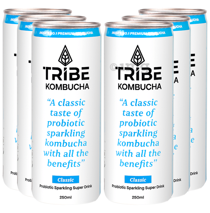 Tribe Kombucha Probiotic Sparkling Super Drink (250ml Each) Classic