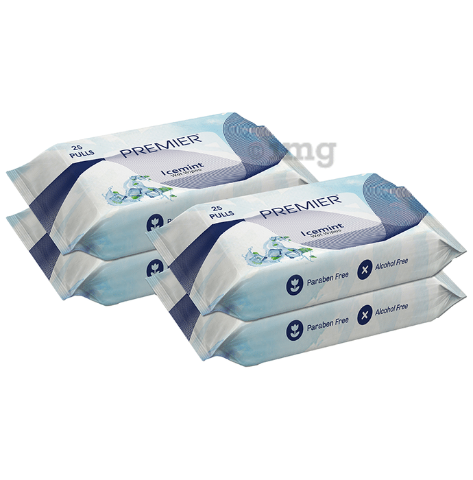 Premier Tissues Wet Wipe (25 Each) Ice Mint