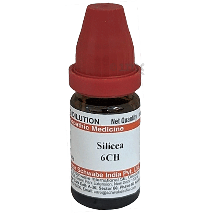 Dr Willmar Schwabe India Silicea Dilution 6 CH
