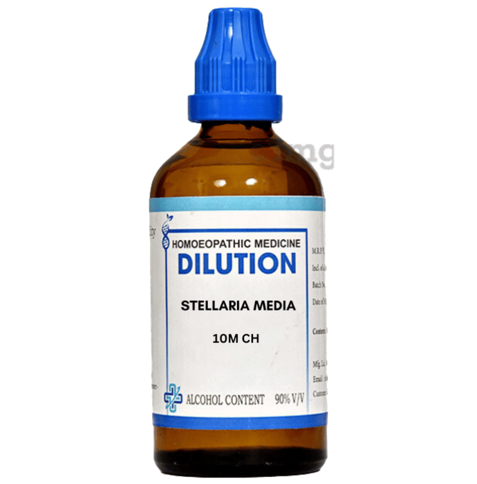 LDD Bioscience Stellaria Media Dilution 10M CH Buy bottle of 100.0 ml