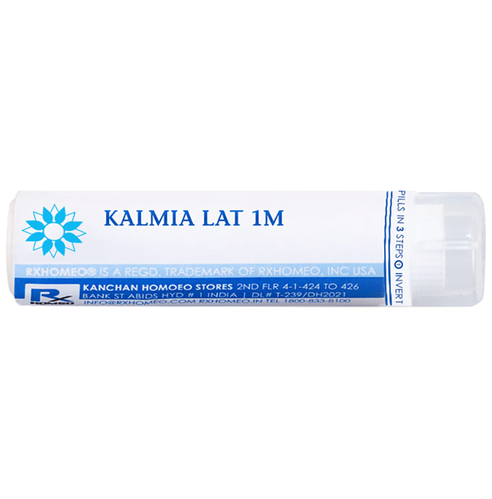 Rxhomeo Kalmia Lat 1M Buy bottle of 250.0 pellets at best price in