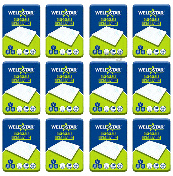 Wellstar Disposable Underpads (10 Each) Diaper