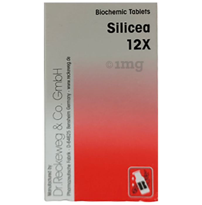 Dr Reckeweg &Co.gmbH Silicea (20gm Each) Biochemic Tablet 12X