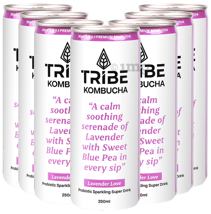 Tribe Kombucha Probiotic Sparkling Super Drink (250ml Each) Lavender Love