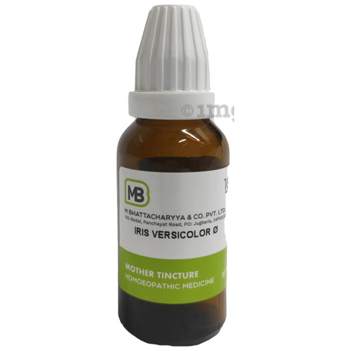 MB Iris Versicolor Mother Tincture Q