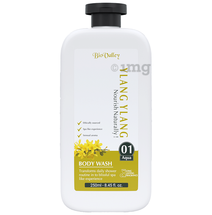 Bio Valley Body Wash Ylang Ylang Buy bottle of 250.0 ml Body Wash at