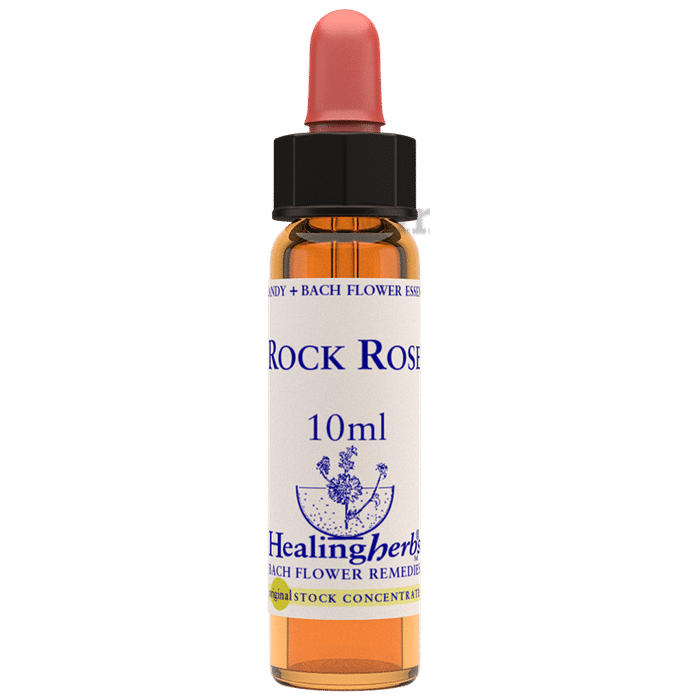 Healing Herbs Bach Flower Rock Rose