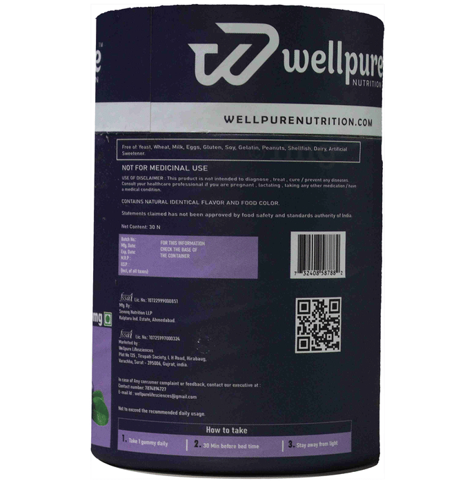 Wellpure Nutrition Sleep Gummies Blueberry: Buy jar of