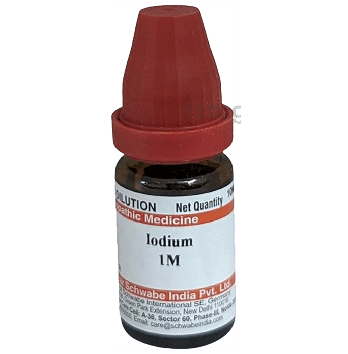 Dr Willmar Schwabe India Iodium Dilution 1M
