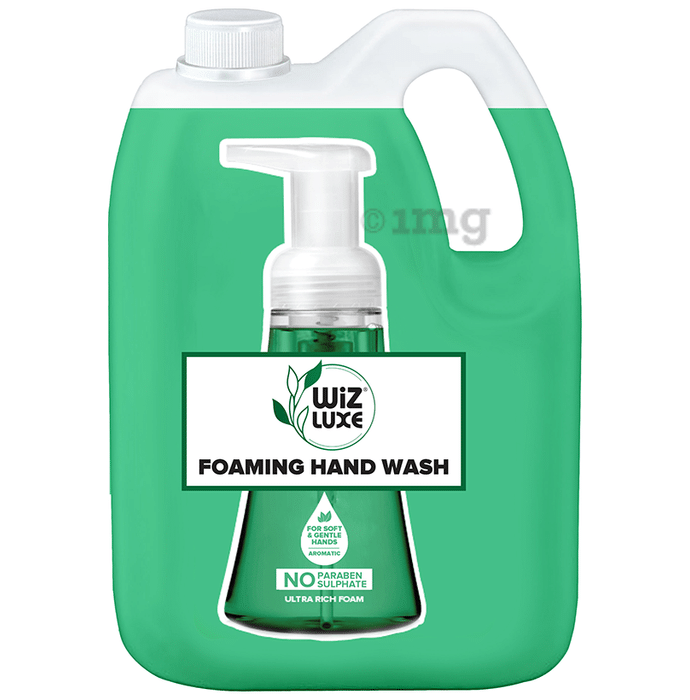 Wiz Luxe Foaming Hand Wash Refill Pack (5L Each) Fresh Mint