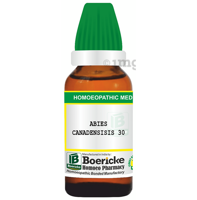 Boericke Abies Canadensis Dilution (30ml Each) 30