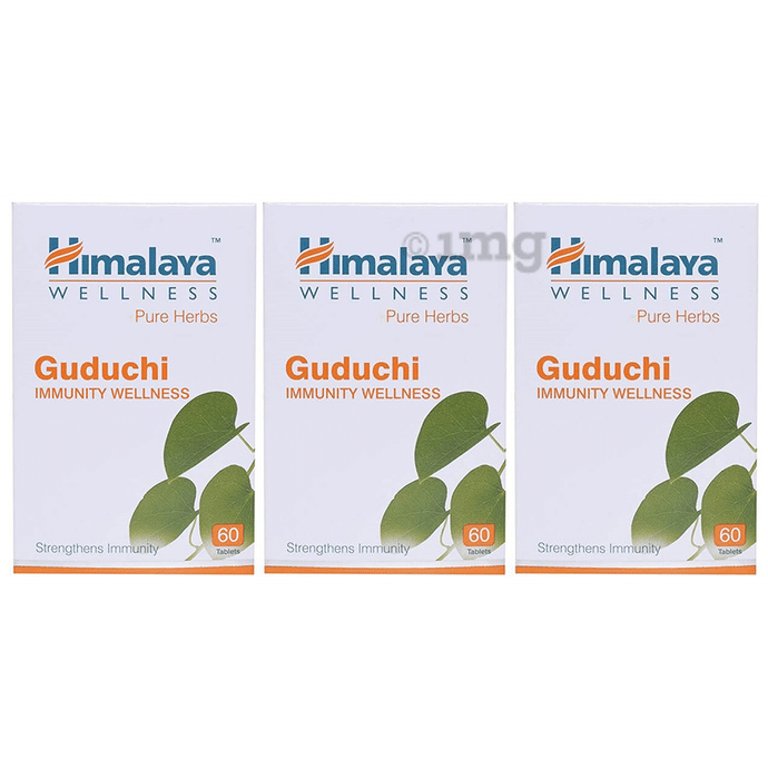 Himalaya Wellness Pure Herbs Guduchi Immunity Wellness Tablet (60 Each)