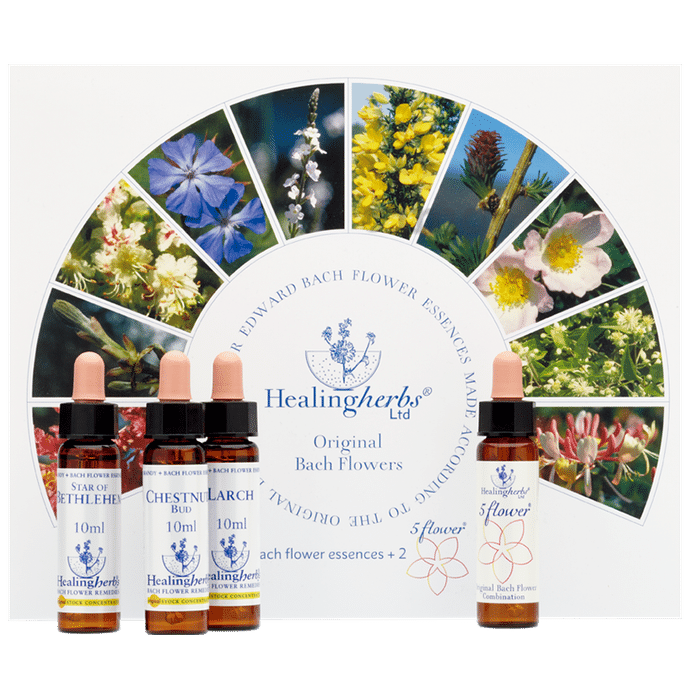 Healing Herbs Bach Flower Remedies Kit of 10ml: Buy box of 1.0 Kit at