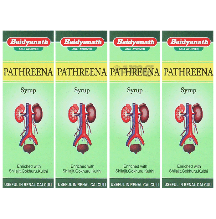 Baidyanath (Jhansi) Pathreena Syrup (200ml Each)