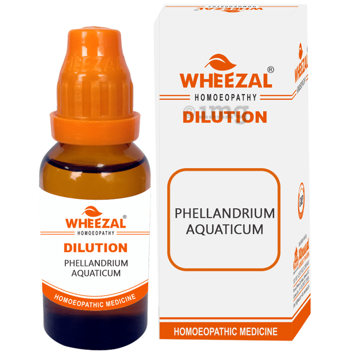 Wheezal Phellandrium Aquaticum Dilution 30