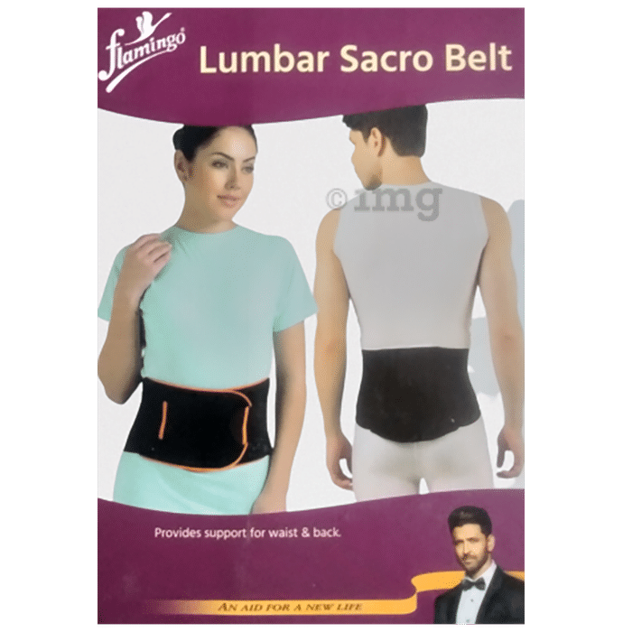 Flamingo Lumbar Sacro Belt | For Pain Relief | Supports Waist & Back Belt Medium