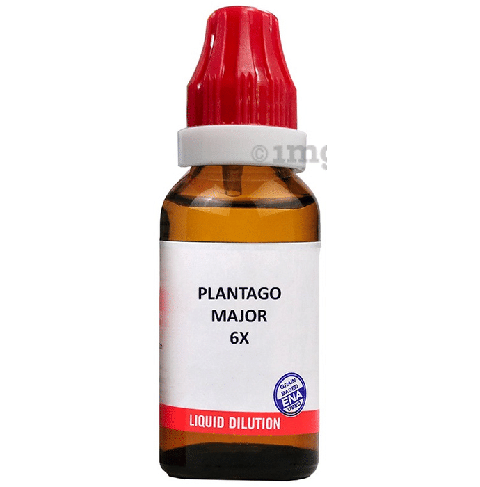 Bjain Plantago Major Dilution 6X