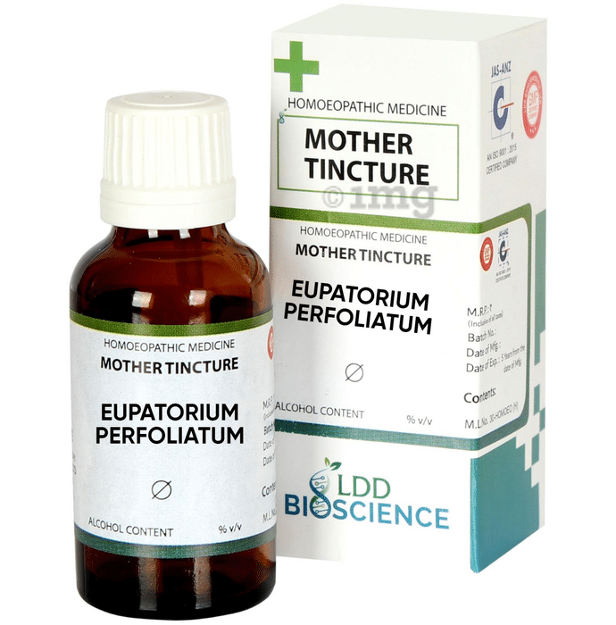 LDD Bioscience Eupatorium Perfoliatum Mother Tincture Q