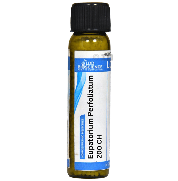 LDD Bioscience Eupatorium Perfoliatum Globules 200 CH