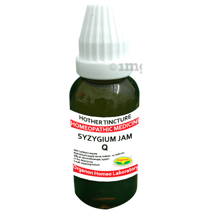 Organon Syzygium Jam Mother Tincture Q Buy bottle of 100.0 ml Mother