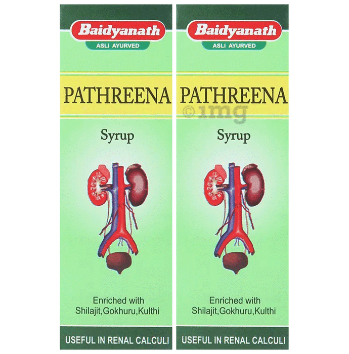Baidyanath (Jhansi) Pathreena Syrup (200ml Each)