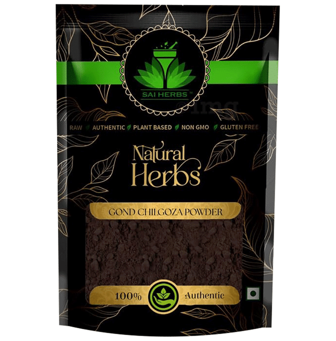 Sai Herbs Gond Chilgoza Powder