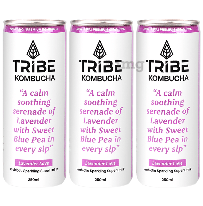 Tribe Kombucha Probiotic Sparkling Super Drink (250ml Each) Lavender Love