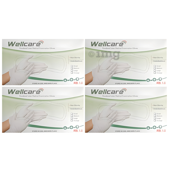 WellCare Powdered Latex Medical Examination Gloves (100 Each)