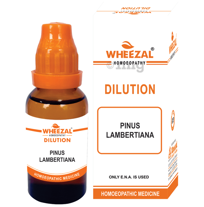 Wheezal Pinus Lambertia Dilution 1M