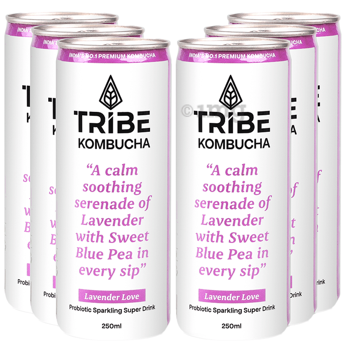 Tribe Kombucha Probiotic Sparkling Super Drink (250ml Each) Lavender Love