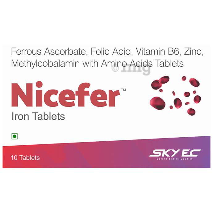 SkyEc Nicefer Iron Tablet
