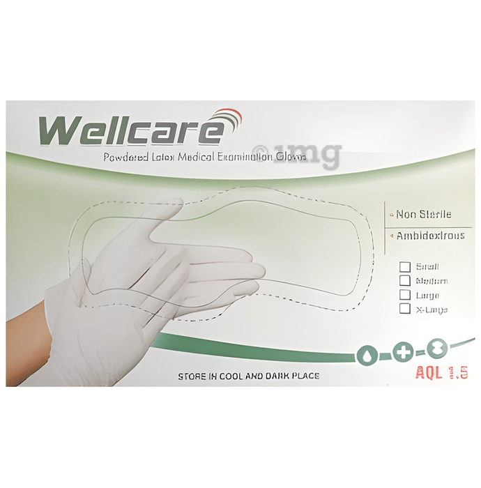 WellCare Powdered Latex Medical Examination Gloves (100 Each)