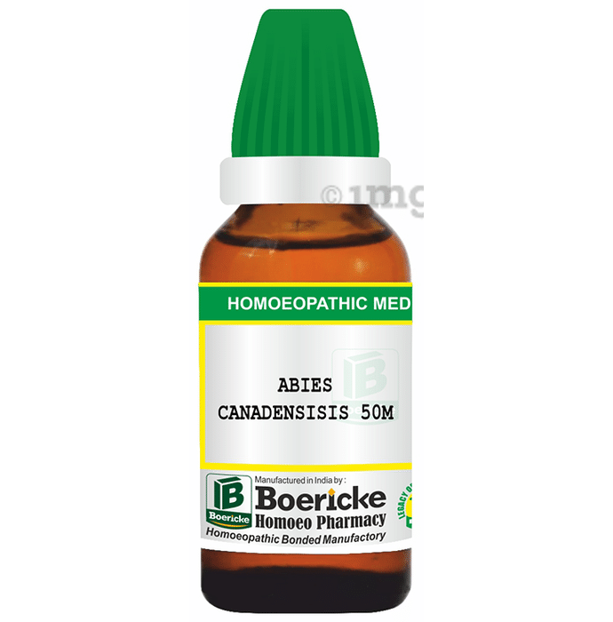 Boericke Abies Canadensis Dilution (30ml Each) 50M
