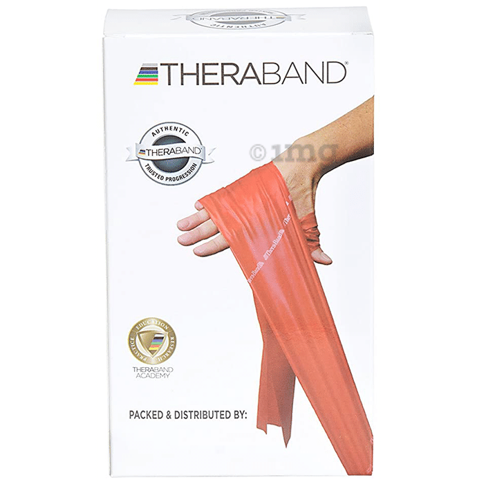 Exercise Resistance Band at Rs 70/piece, Thera Band in Delhi