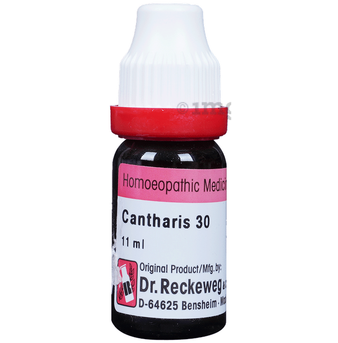Dr. Reckeweg Cantharis Dilution 30 CH
