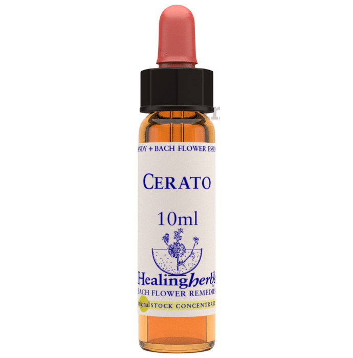 Healing Herbs Cerato