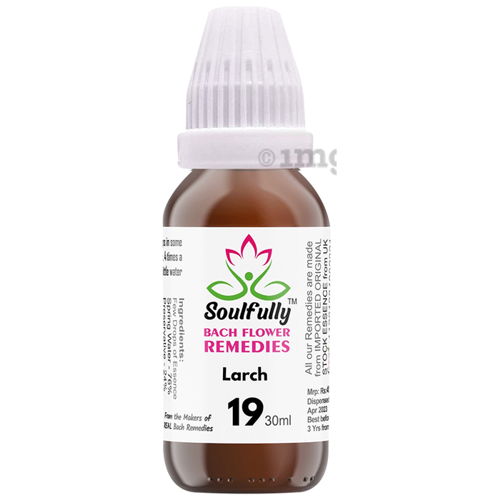 Soulfully Larch Bach Flower Remedies Drops