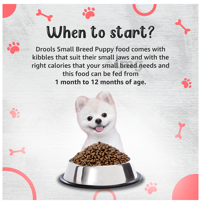 Drools Small Breed Puppy Premium Dog Food Buy packet of 1.2 kg