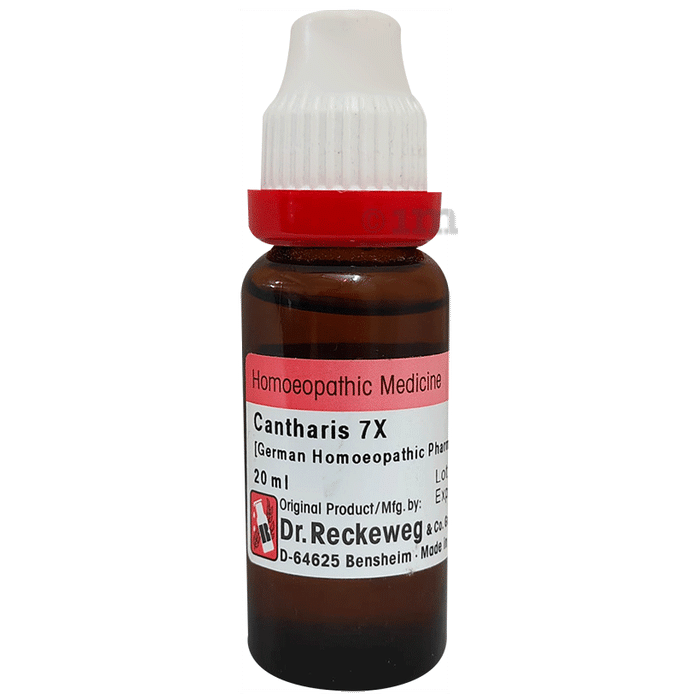 Dr. Reckeweg Cantharis Dilution 7X