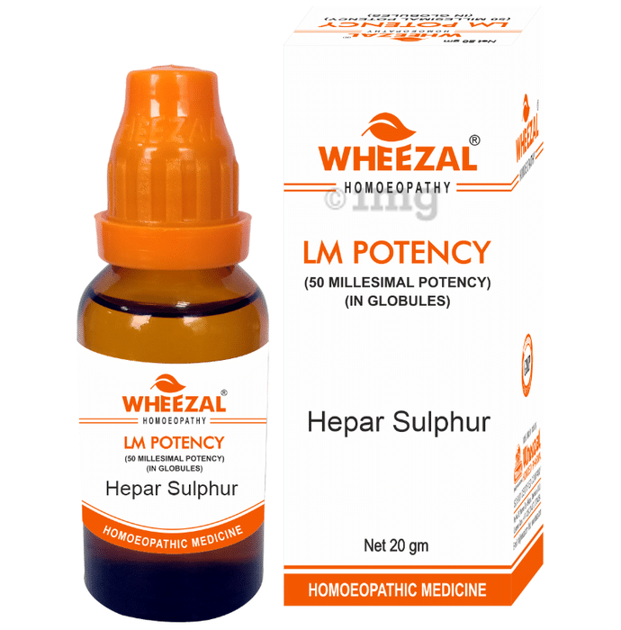 Wheezal Hepar Sulphur Globules 0/13 LM