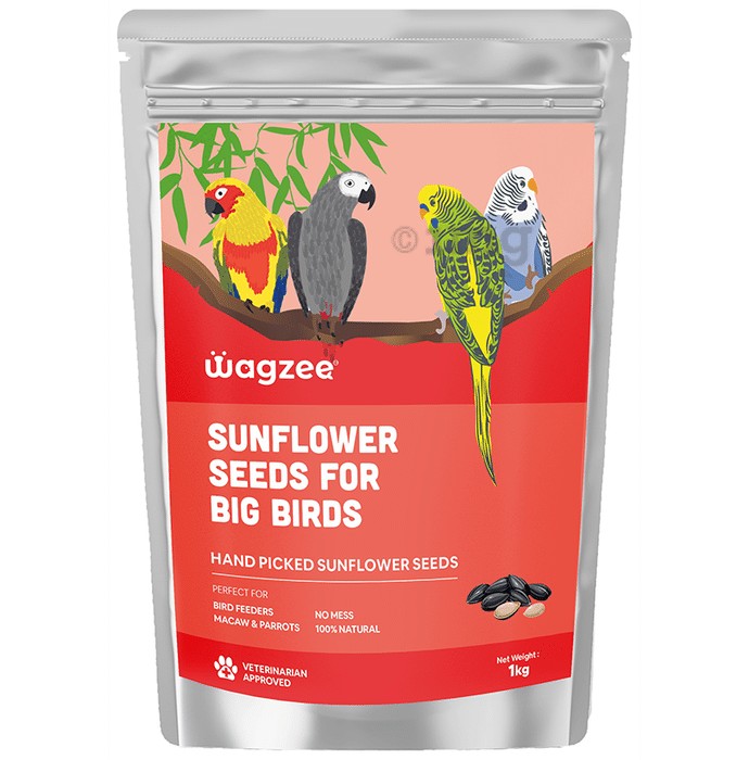 Wagzee Sunflower Seeds for Big Birds