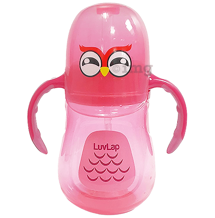 LuvLap Wise Owl Straw Cup
