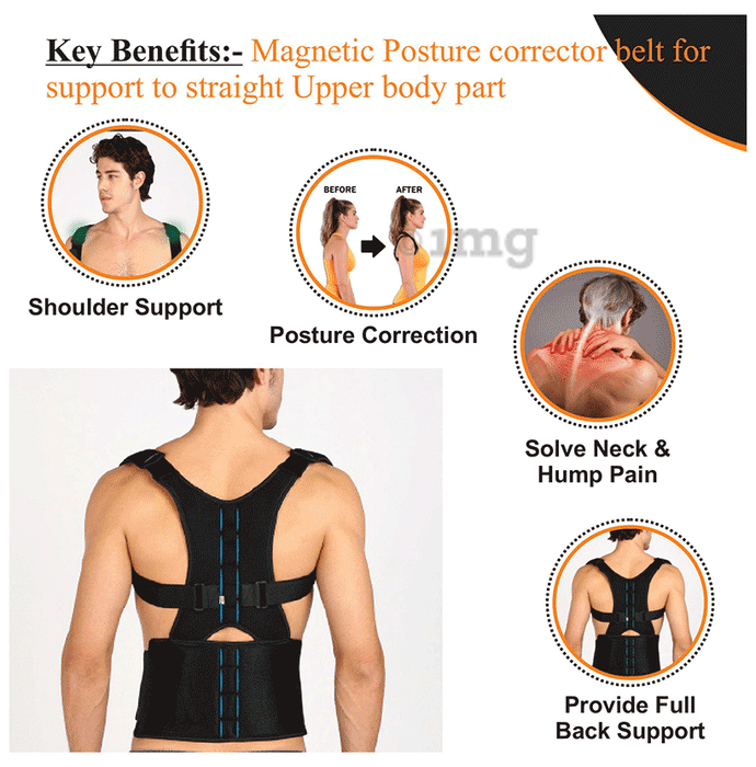 Belt for top straight back