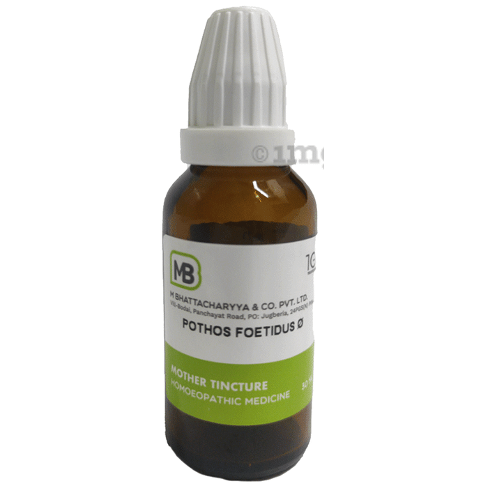 MB Pothos Foetidus Mother Tincture Q