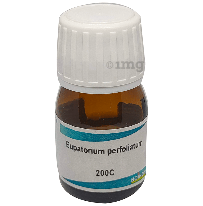 Boiron Eupatorium Perfoliatum Dilution 200C